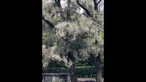 Андреевский мост-Парк Горького-Титовский проезд-Ленинский проспект-улица Шаболовка ! Huawei P30 Pro