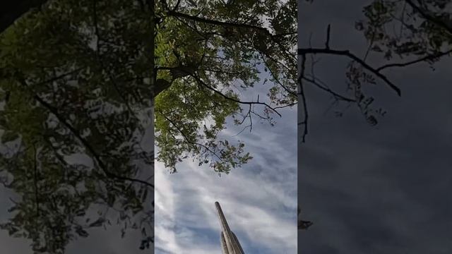 Охота с сыном смотреть онлайн