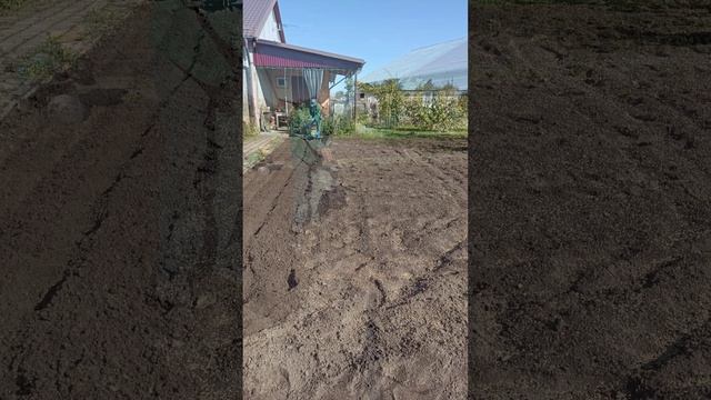 НАШ огород к зиме готов!!! А ВАШ???.