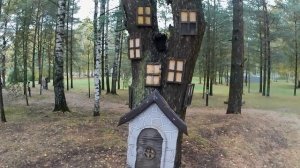 дом отдыха Торово. Череповец