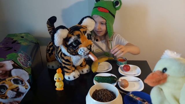 Чем накормить тигра Амурчика!