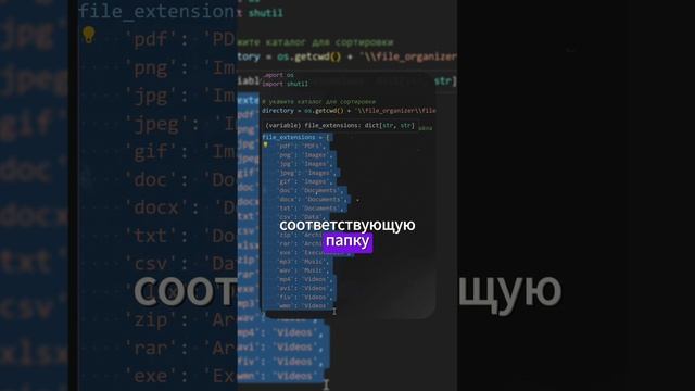 ПРОСТОЙ ПРОЕКТ НА Python #programmer #python #программист