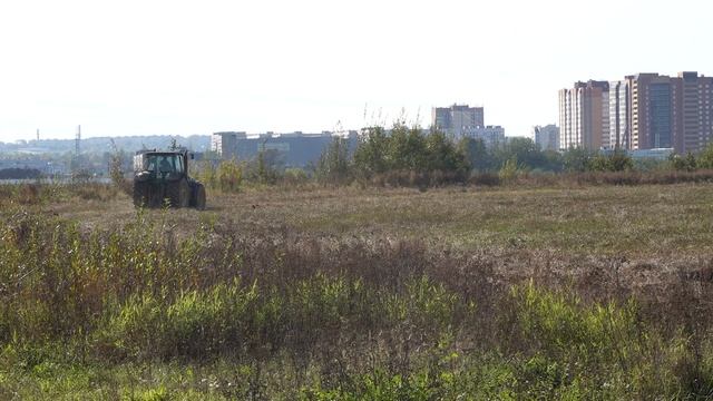 Уборка зерновых в черте города Санкт-Петербург, John Deere 8430, КамаZ, комбайн DEUTZ (01.10.2024)