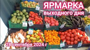 Краснодар - Ярмарка выходного дня на ул. Одесской - цены на продукты - 28 сентября 2024 г.