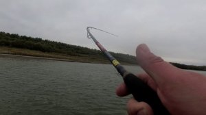 Осенний жор щуки