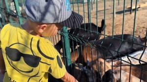 Новые приключения