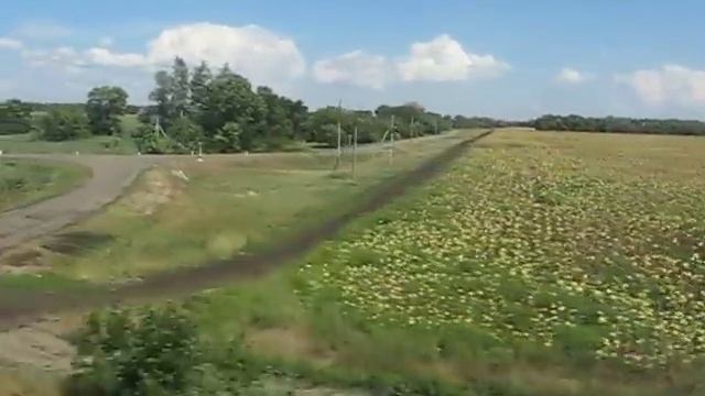 Из окна поезда №412 перегон Староминская - Ростов