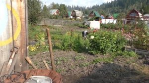 Дачные подготовки к осени