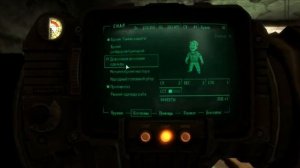 Прохождение Fallout 3 - Часть 33: Осваиваемся в Питте