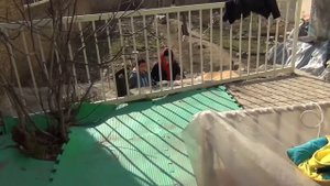 Иран: детский сады и начальные школы Тегерана