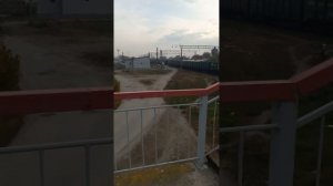 #нарткала (колхоз)