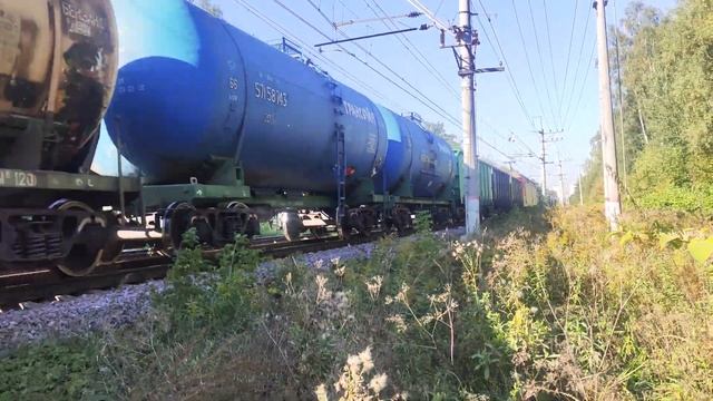 Электровоз 2ЭС6-1376 с грузовым поездом на перегоне Соколовская - Болшево