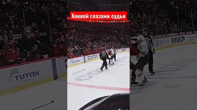 Хоккей глазами судьи. Авангард - Ак Барс #shorts #hockey #рекомендации