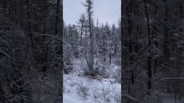 Снег выпал в воскресенье и больше не тает