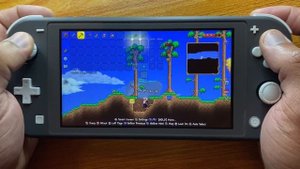 Terraria Nintendo Switch Lite Gameplay