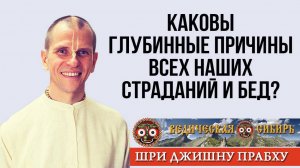 Каковы глубинные причины всех наших страданий и бед?