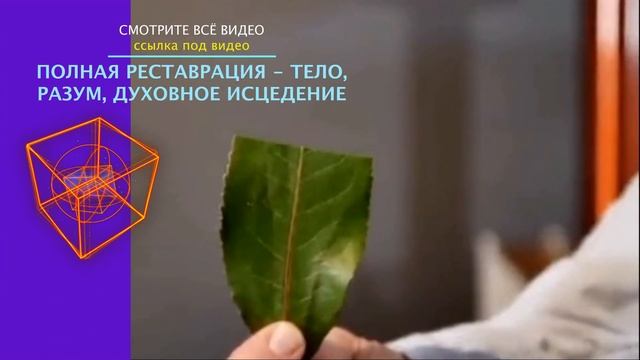 ПОЛНАЯ РЕСТАВРАЦИЯ | Тело, разум и духовное исцеление | Поднять свое сознание | Shorts Анонс