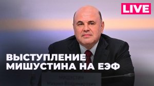 Михаил Мишустин участвует в Евразийском экономическом форуме в Ереване