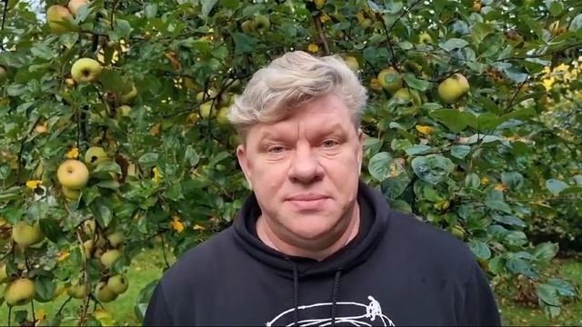 Дмитрий Блохин. Визитка. смотреть онлайн