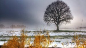 Sviatoslav Richter - Schubert - Piano Sonata No 6 in E minor, D 566