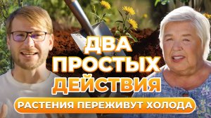 Без ЭТОГО ваши растения НЕ ПЕРЕЖИВУТ зиму ⛔️ | Топ-3 средства для перезимовки | Organic Mix 🌿