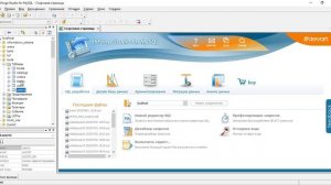 Практическое занятие №1