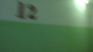 Пассажирский лифт V=1 м-с, Q=320 кг (4512)