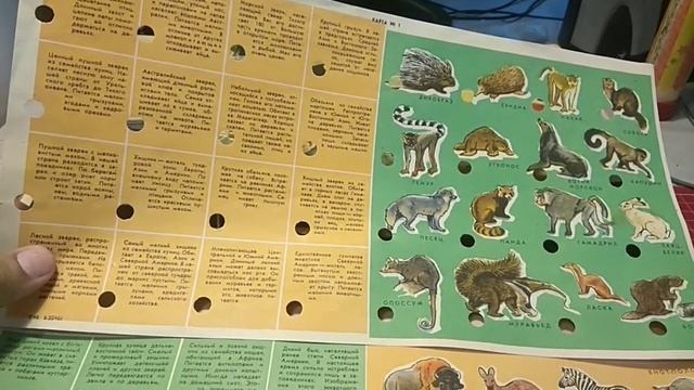 Викторина смотреть онлайн