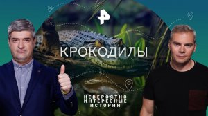 Крокодилы — Невероятно интересные истории (19.04.2023)