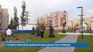 В СКВЕРЕ ВОИНСКОЙ ДОБЛЕСТИ ВЫСАДИЛИ ЕЛИ И РЯБИНЫ