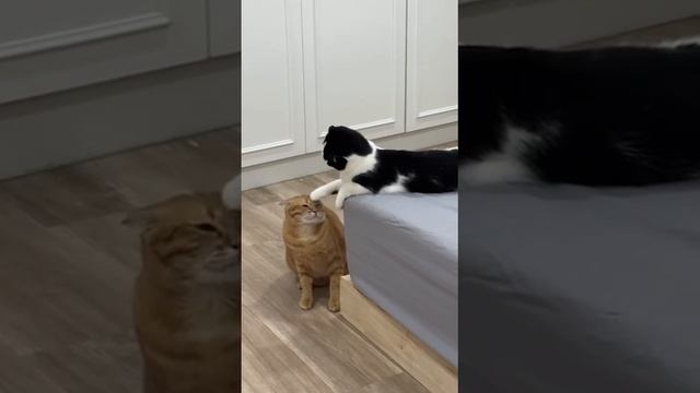 Don't смотреть онлайн