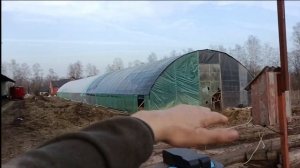 Тентованный коровник: плюсы и минусы