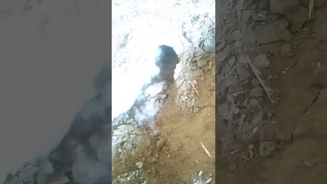 стаяжка ni qanday qilamiz quyon bolalarini uyasi bor ekan смотреть онлайн