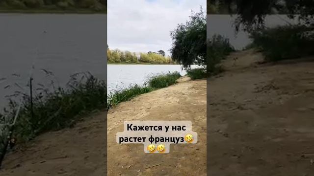 Выбрались семьёй на пару часов попялиться на удочки на берегу смотреть онлайн