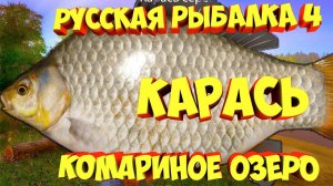 🐟Охота за Трофейным Сер Карасем 2,4 кг, часть 2, Русская Рыбалка 4, Russian Fishing 4