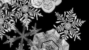 También es mi primera vez - Ricardo Arjona Karaoke