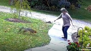 Зомби существует, этот вирус называется бешенство.