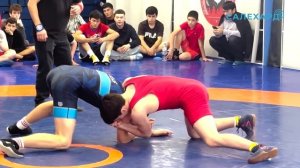 Вольная борьба