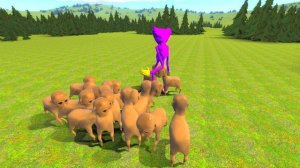 ВСЕ СЕКРЕТНЫЕ ХАГГИ ВАГГИ В ГАРРИС МОД! ИГРУШКА HUGGY WUGGY POPPY PLAYTIME В Garry`s Mod!