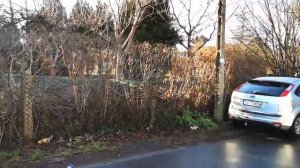 НЕДВИЖИМОСТЬ В ПОЛЬШЕ. КАК ЖИВУТ ПОЛЯКИ В ЧАСТНОМ СЕКТОРЕ. ЖИЗНЬ В ПОЛЬШЕ. УСЛОВИЯ ЖИЗНИ В ПОЛЬШЕ.