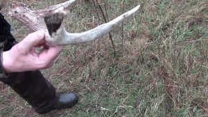 3 Day Kansas Shed Hunt | Outdoor X Media | Shed Season 2024 |