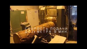 Пилорама EWD Esterer HDS 700  Bautex