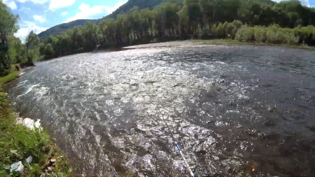 Рыбалка, тайга, июнь.