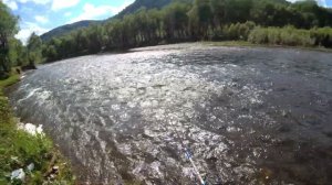 Рыбалка, тайга, июнь.