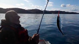 Тест НДНД лодки в Баренцевом море. Рыбалка в Териберке