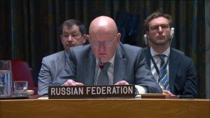 Statement by Amb. Vassily Nebenzia at UNSC briefing on the humanitarian situation in Gaza