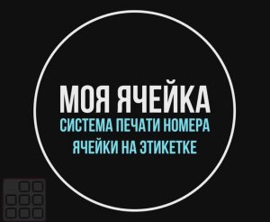 Презентация Моя ячейка