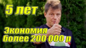 Результат 5 ти летнего выращивания туй на участке - экономия более 200 000 рублей