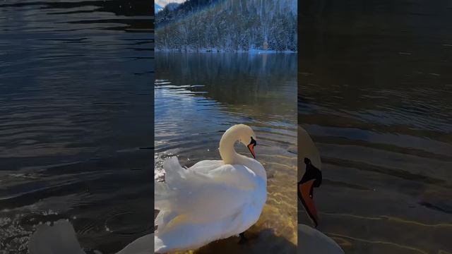 Экопарк Южный Байкал. Место где природа сочетается с комфортом и радушным гостеприимством #байкал