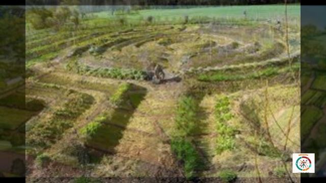 Пермакультура на Урале. Делюсь своим опытом.